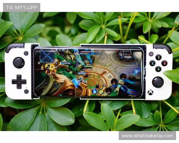 凯发娱乐正规官网多平台兼容,手机电脑随时随地畅玩游戏 凯发娱乐正规官网多平台兼容,手机电脑随时随地畅玩游戏