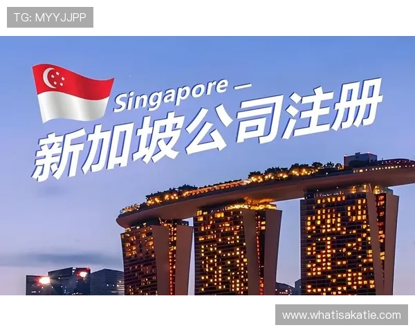 提升注册效率：ag登录网会员注册流程改进方案分析